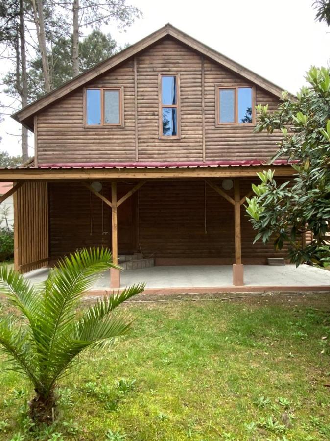 Green Cottage Shekvetili Ureki Eksteriør bilde