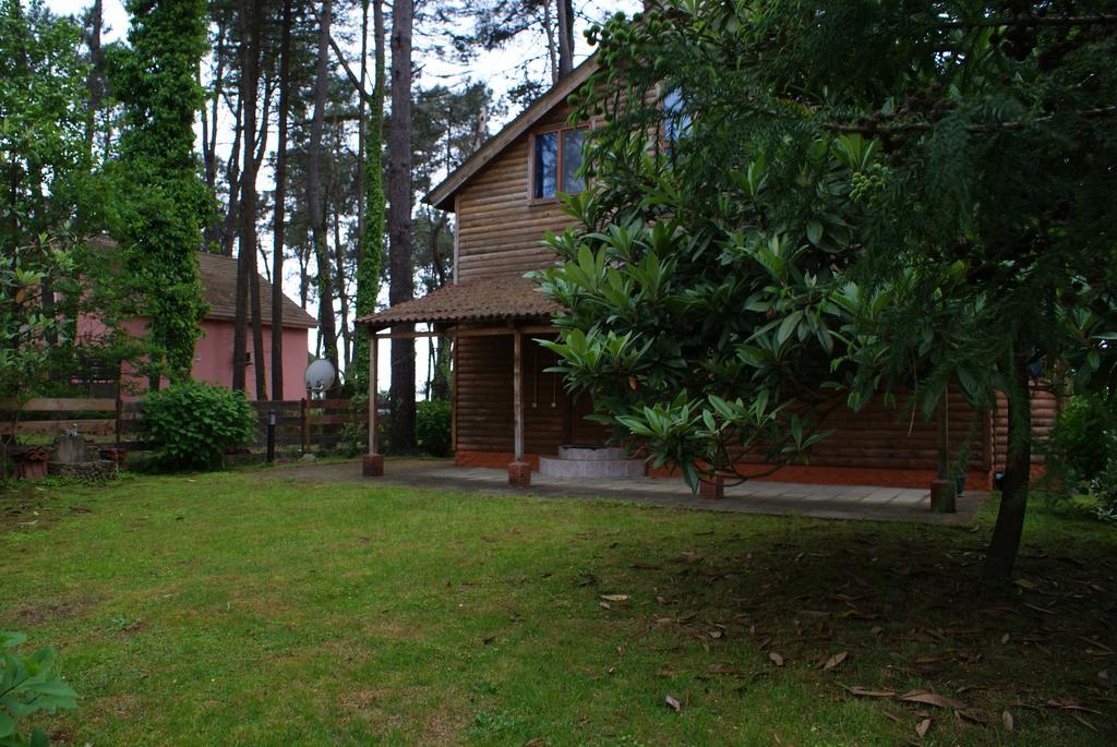 Green Cottage Shekvetili Ureki Eksteriør bilde
