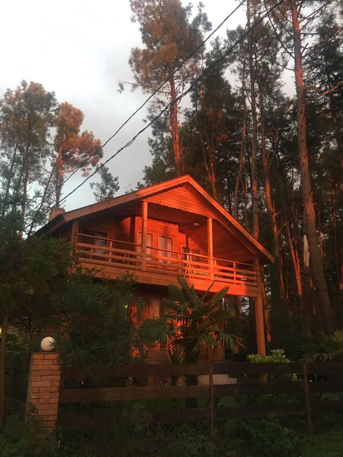 Green Cottage Shekvetili Ureki Eksteriør bilde